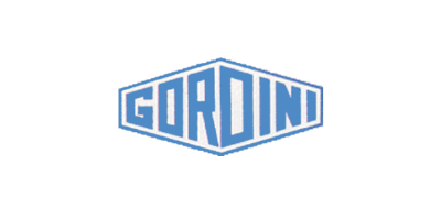 Gordini – Engine